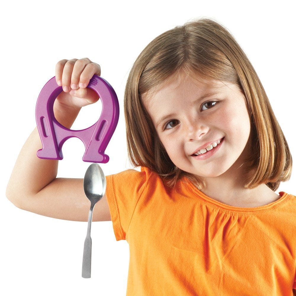 Jumbo Horseshoe Magnet