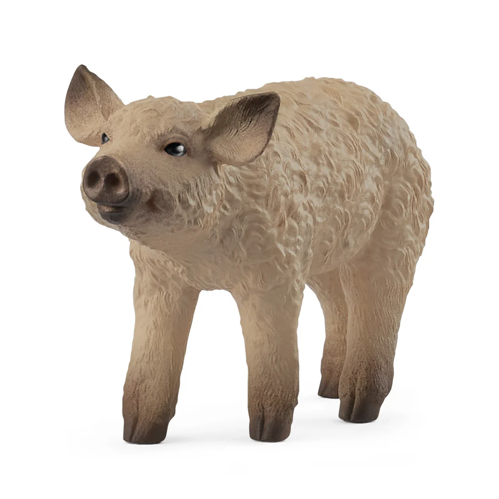 Schleich Mangalica Piglet