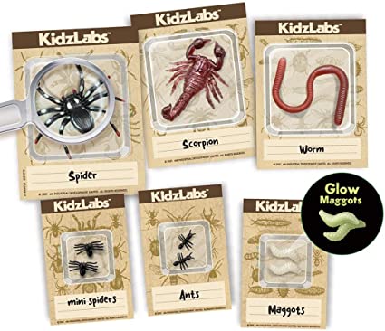 Kidzlabs Creepy Crawly Digging Kit