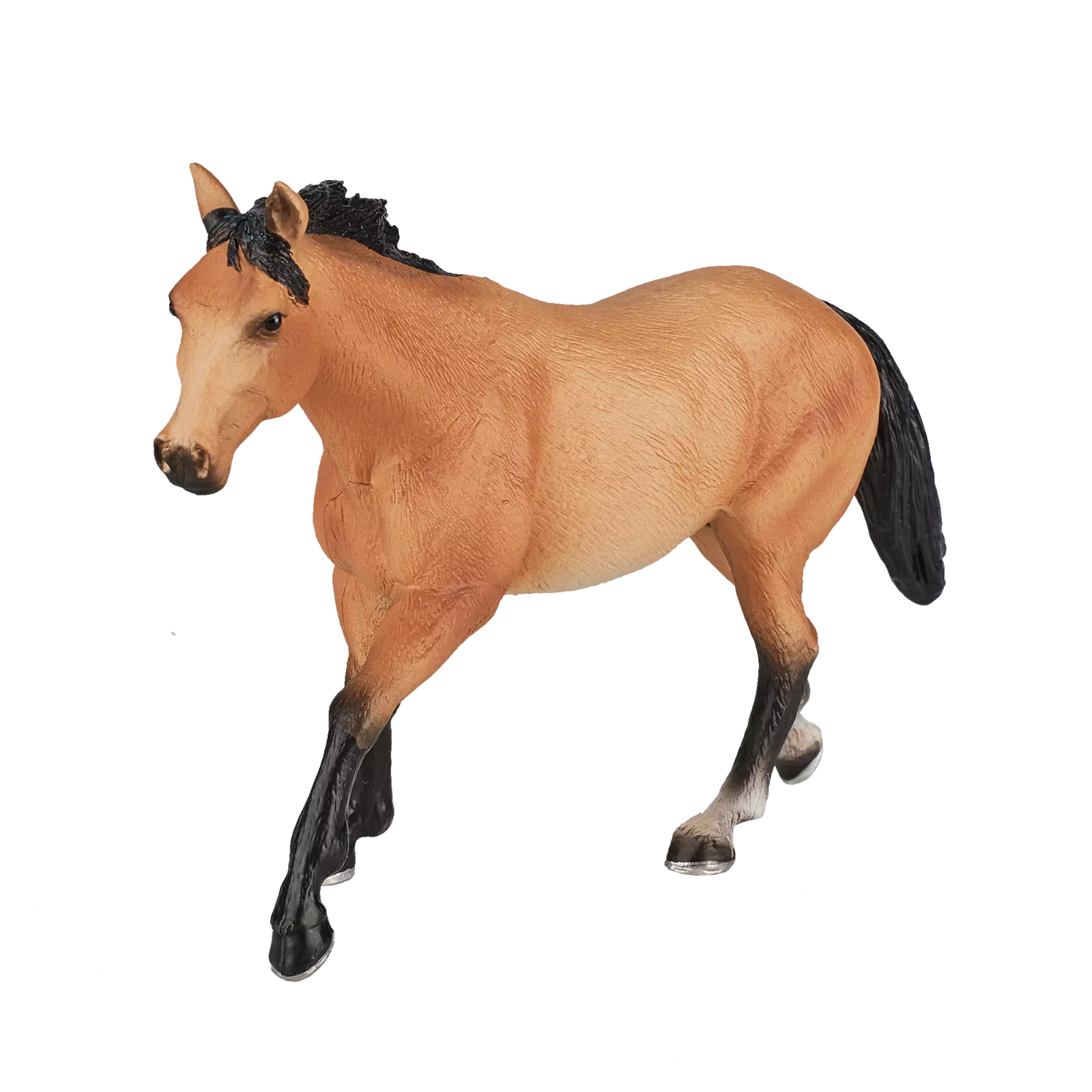 MOJO - Quarter Horse Buckskin