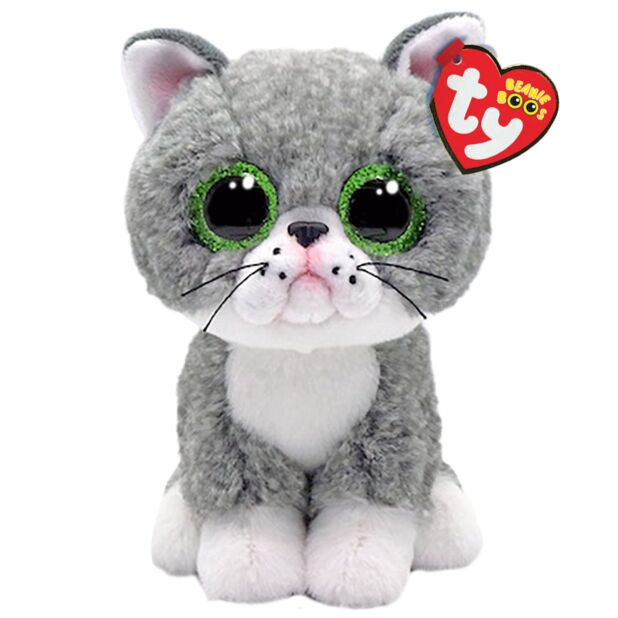 Fergus The Cat - Beanie Boo - Regular