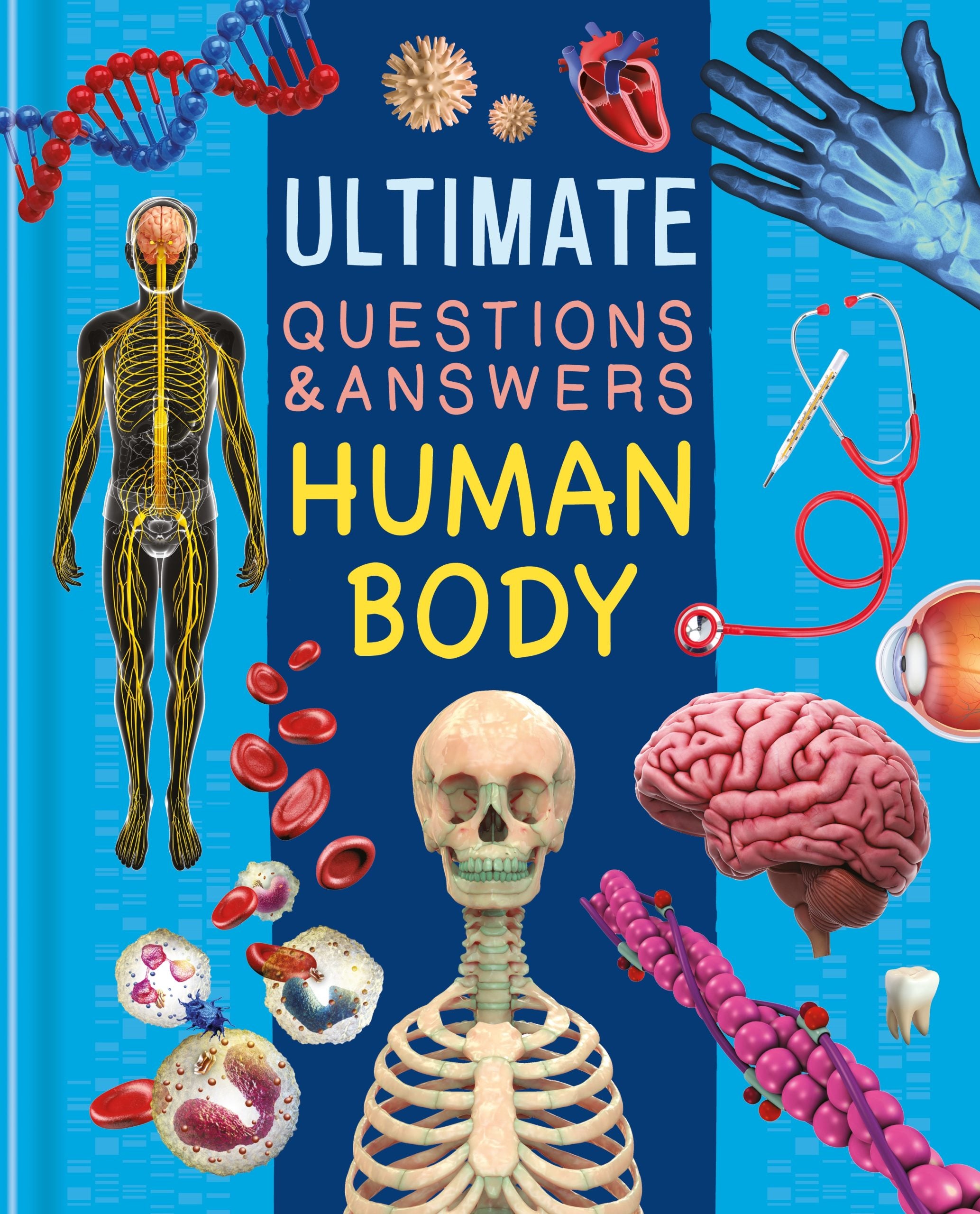 Ultimate Questions & Answers: The Human Body
