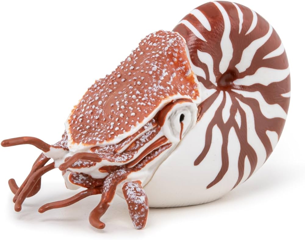 Papo Nautilus