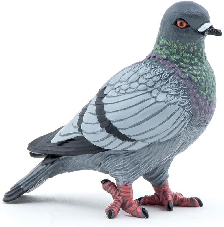 Papo Piegon