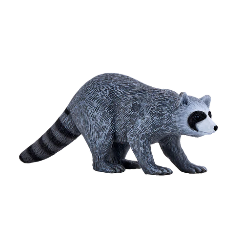 MOJO - Raccoon