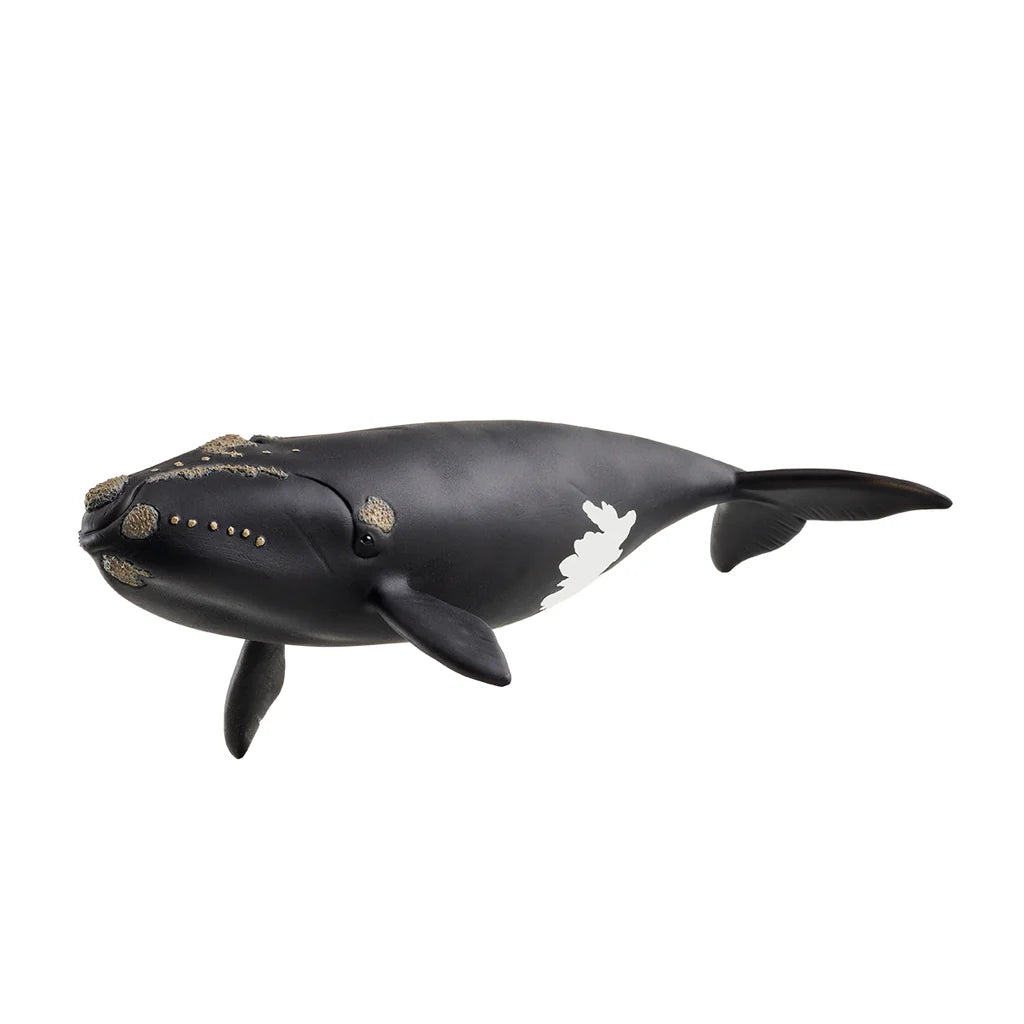 Schleich North Atlantic Right Whale