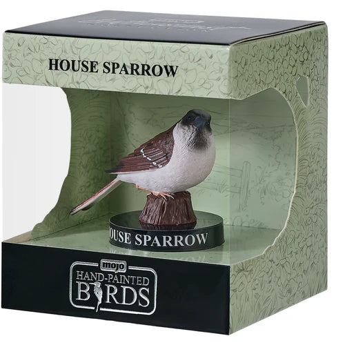 MOJO - House Sparrow