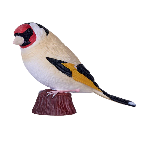 MOJO - European Goldfinch