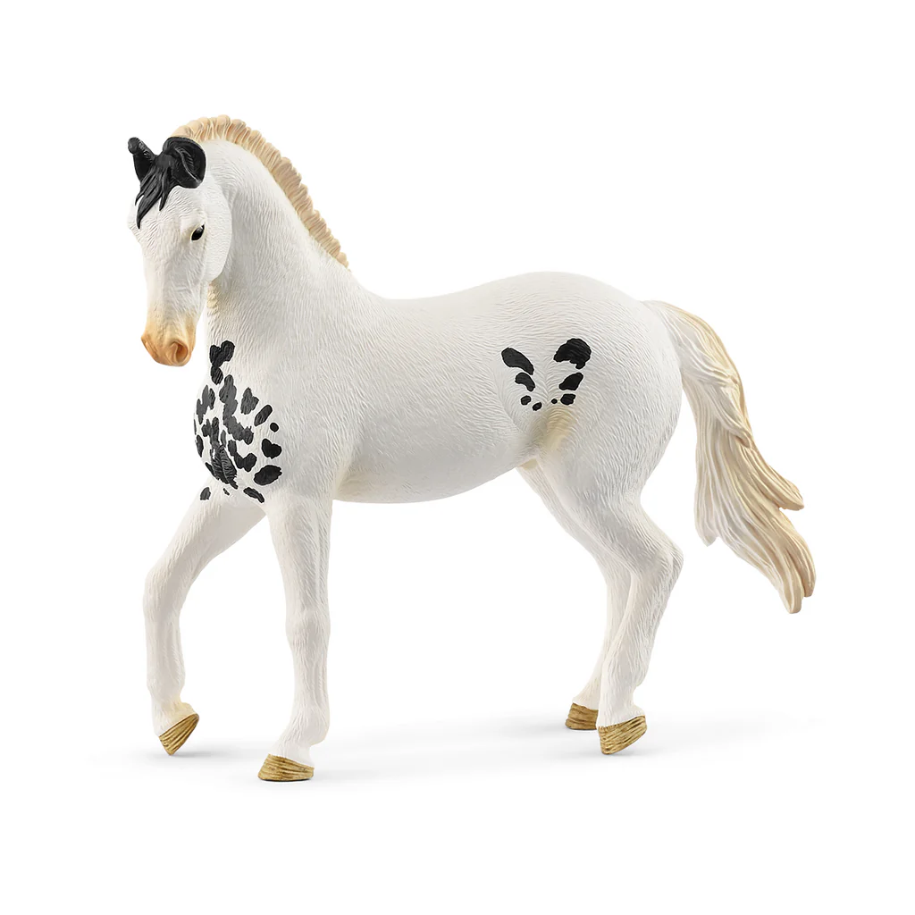 Schleich Marwari Stallion