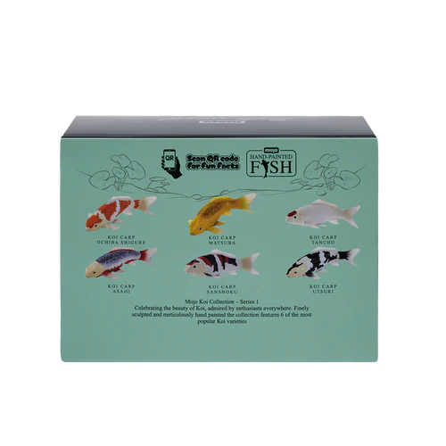 MOJO - Ochiba Shigure Koi Carp