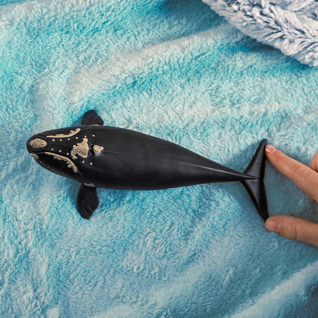 Schleich North Atlantic Right Whale