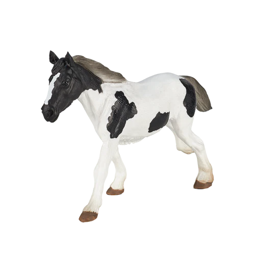 MOJO - Tinker Yearling