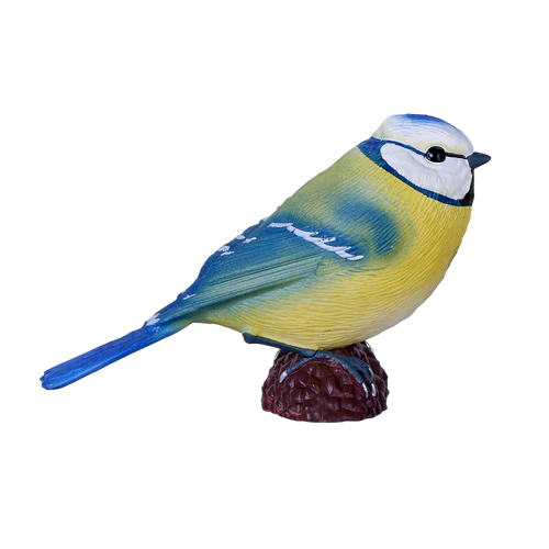 MOJO - Blue Tit