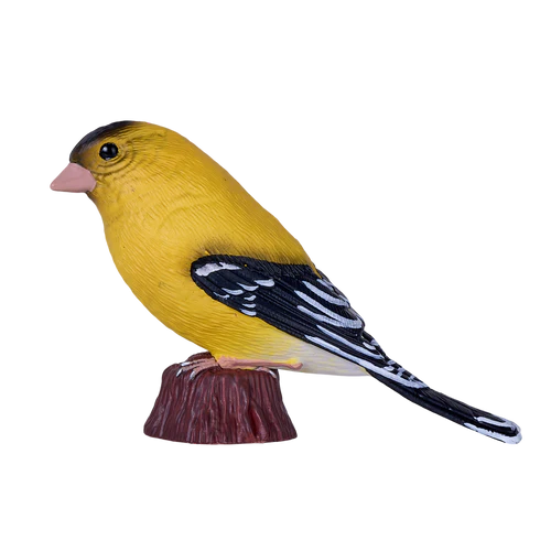 MOJO - American Goldfinch