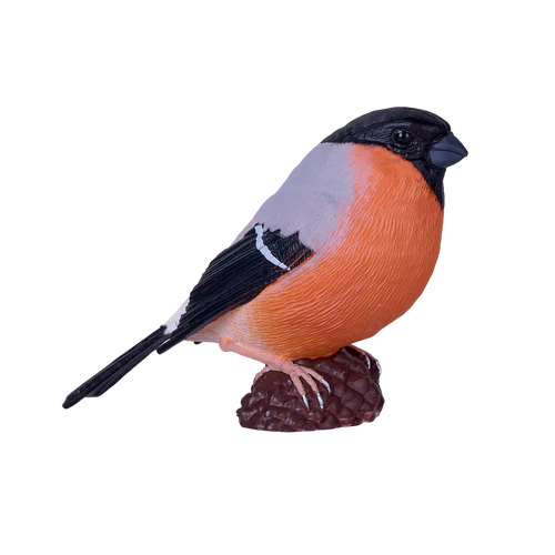 MOJO - Bullfinch