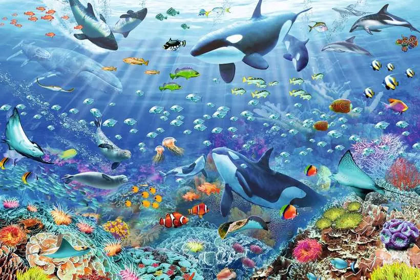 Colorful Underwater World 3000 Piece Jigsaw Puzzle