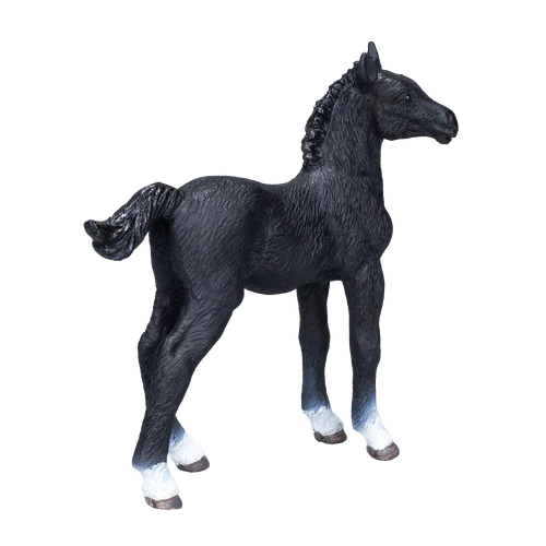 MOJO - Hanovarian Foal Black