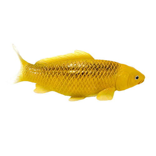 MOJO - Koi Carp - Kin Matsuba