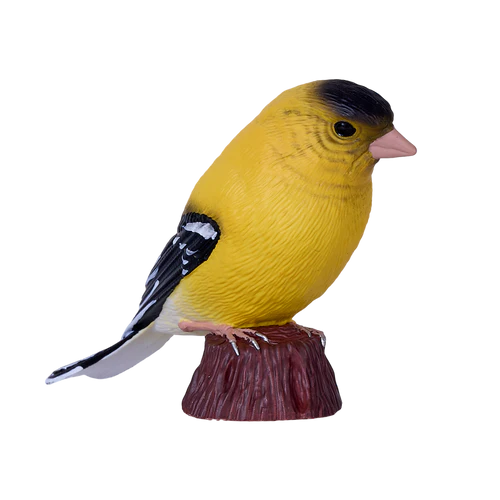 MOJO - American Goldfinch
