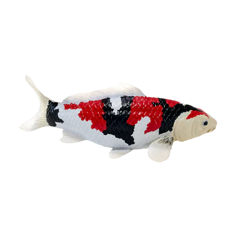 MOJO - Showa Sanshoku Koi Carp