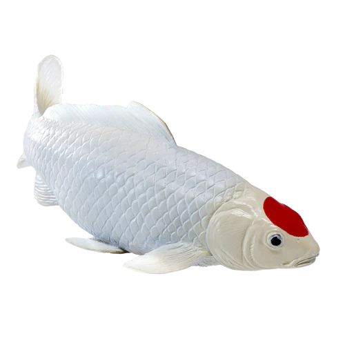 MOJO - Tancho Koi Carp
