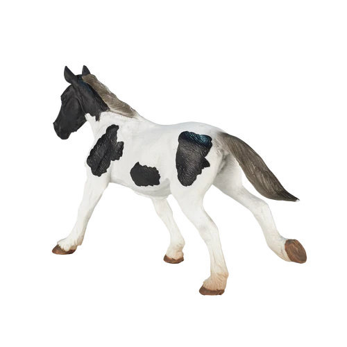 MOJO - Tinker Yearling