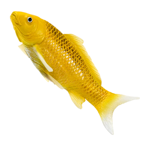 MOJO - Koi Carp - Kin Matsuba