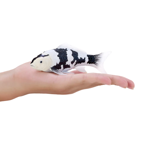 MOJO - Shiro Utsuri Koi Carp