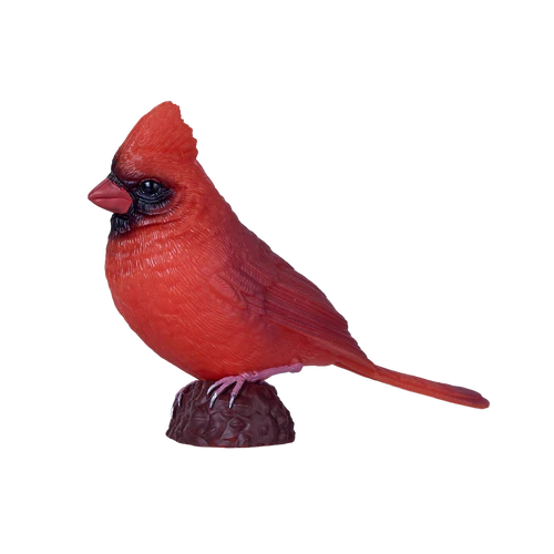 MOJO - American Red Cardinal
