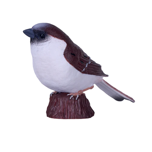 MOJO - House Sparrow