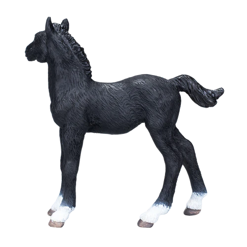 MOJO - Hanovarian Foal Black