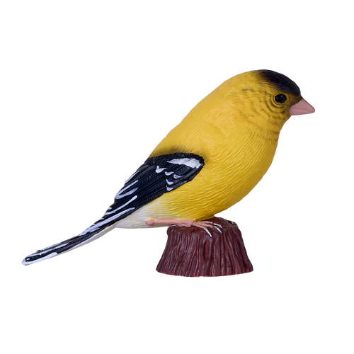 MOJO - American Goldfinch