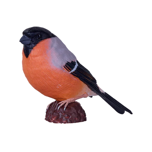 MOJO - Bullfinch