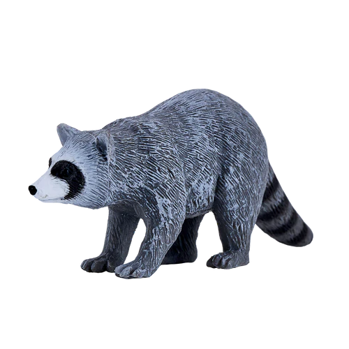MOJO - Raccoon