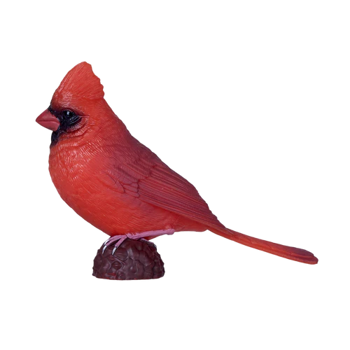 MOJO - Red Cardinal