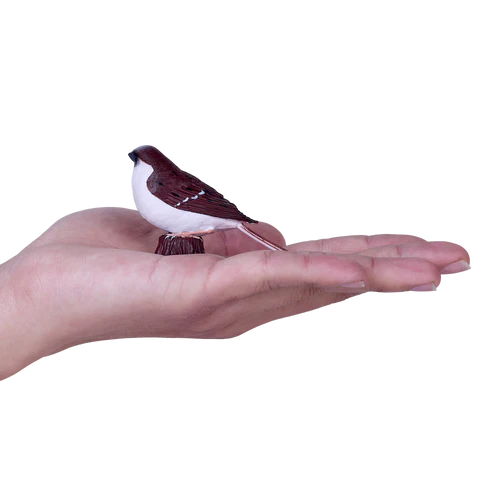 MOJO - House Sparrow