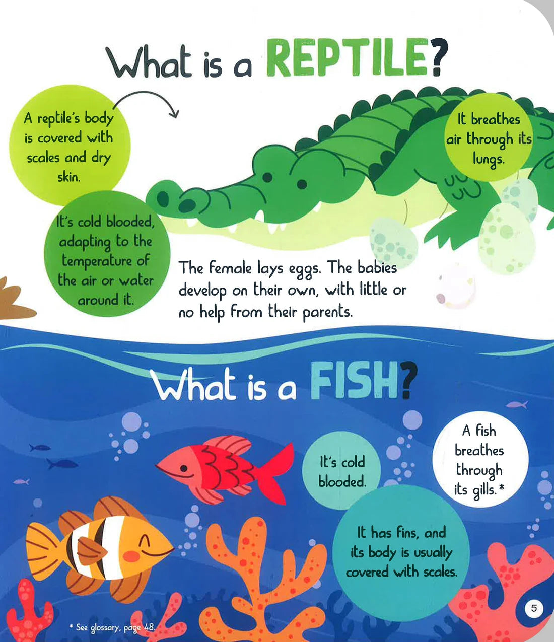 Junior Encyclopedia of Animals