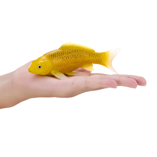 MOJO - Kin Matsuba Koi Carp