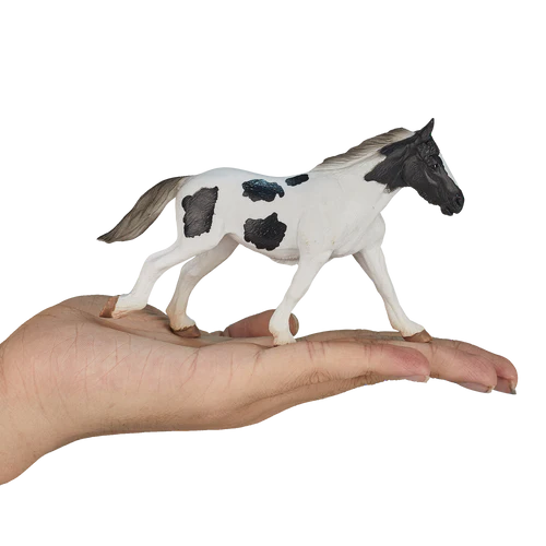 MOJO - Tinker Yearling