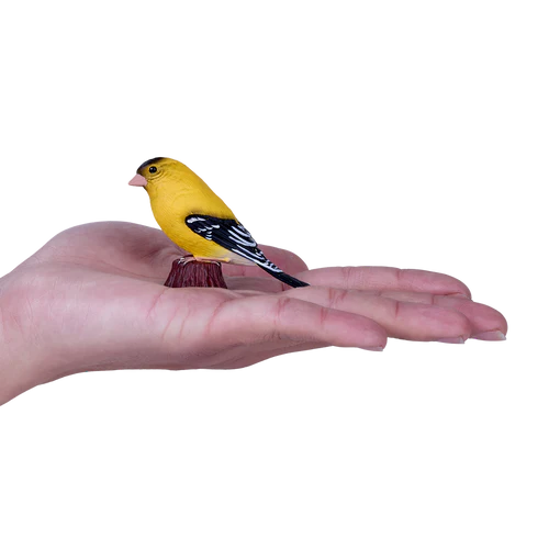 MOJO - American Goldfinch