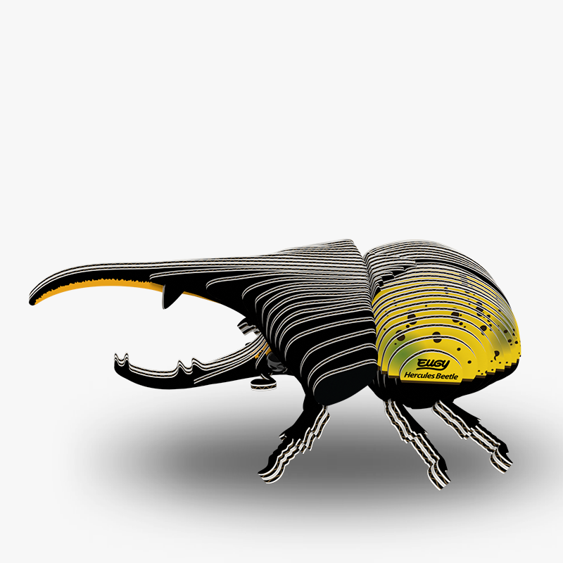 EUGY Hercules Beetle