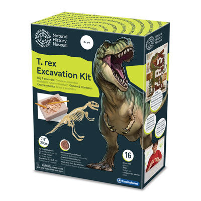 Natural History Museum T-Rex Excavation Kit