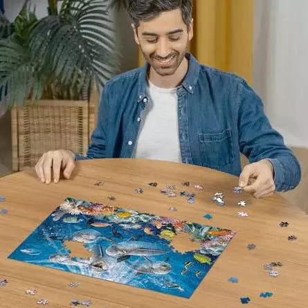 Dolphins in the Coral Reef 500 Piece Jigsaw Puzzle