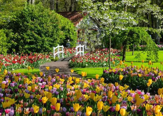 Keukenhof Gardens 1000 Piece Jigsaw Puzzle