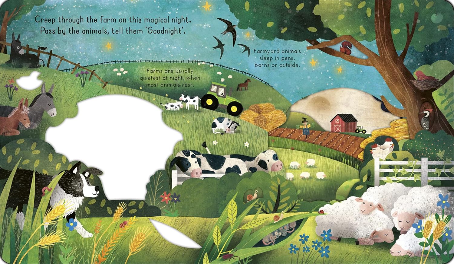 Little Explorers Goodnight Farm Peek Through Book