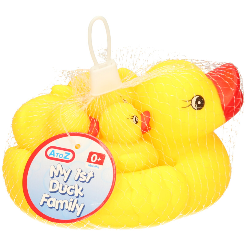 My First Duck Family