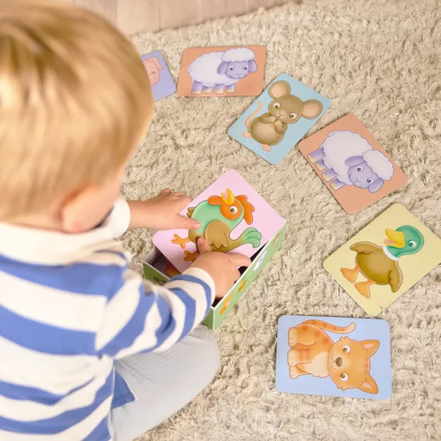 Orchard See & Sound Flashcards