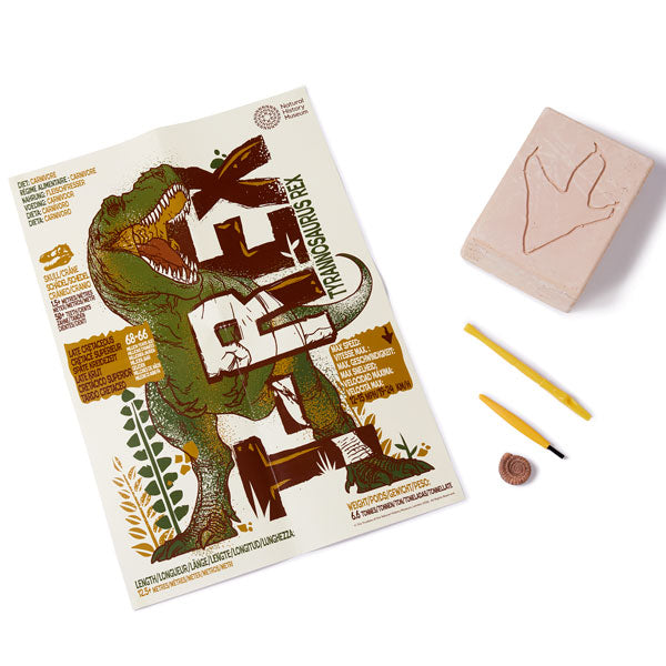 Natural History Museum T-Rex Excavation Kit