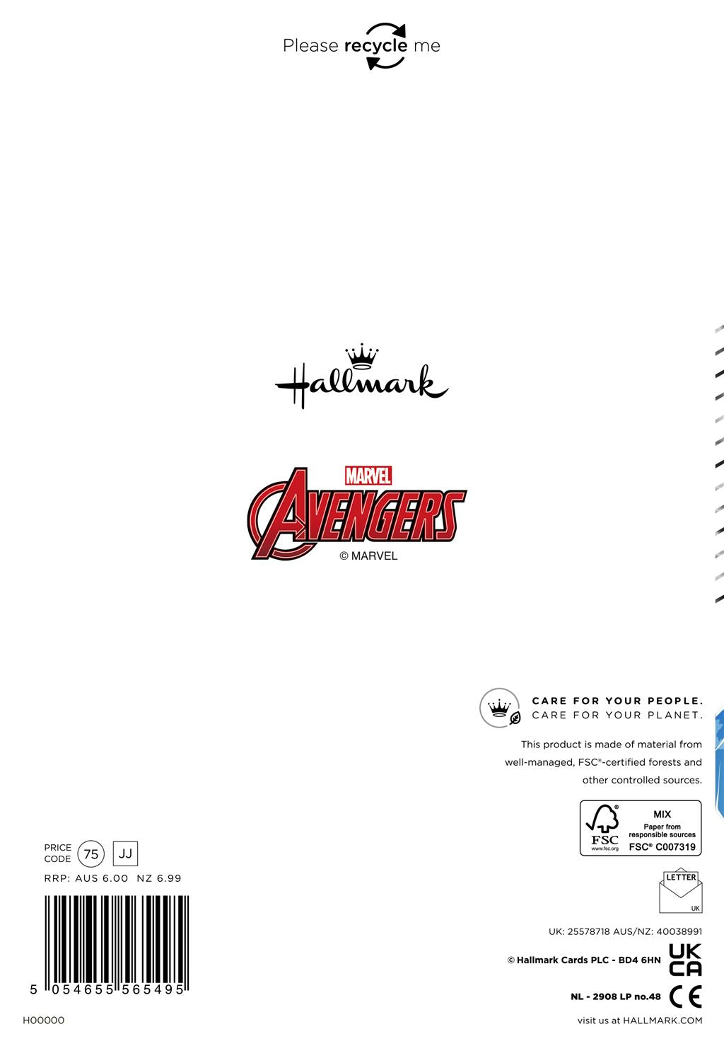 Hallmark Marvel Avengers Brother Birthday Card