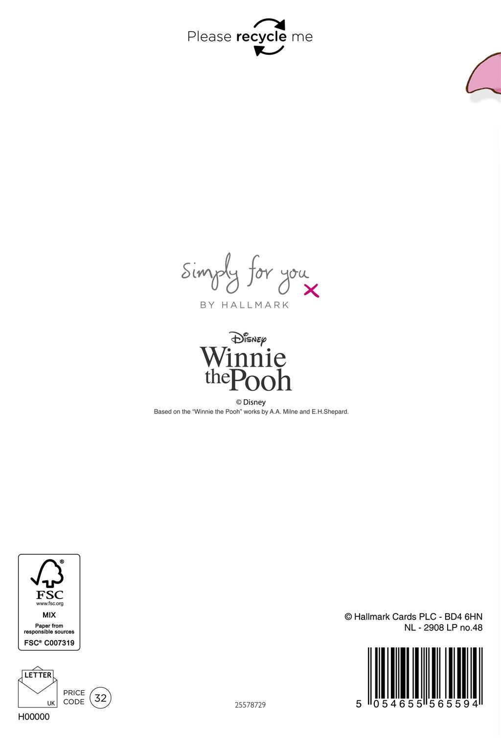 Hallmark Winnie The Pooh Birthday Card